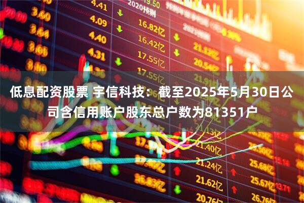 低息配资股票 宇信科技：截至2025年5月30日公司含信用账户股东总户数为81351户