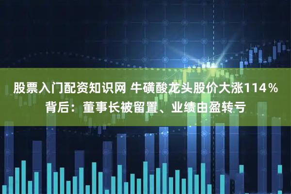 股票入门配资知识网 牛磺酸龙头股价大涨114％背后：董事长被留置、业绩由盈转亏