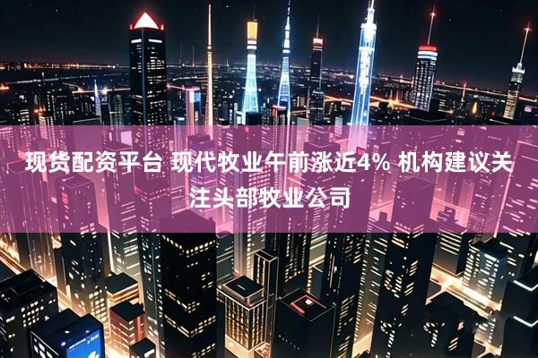 现货配资平台 现代牧业午前涨近4% 机构建议关注头部牧业公司